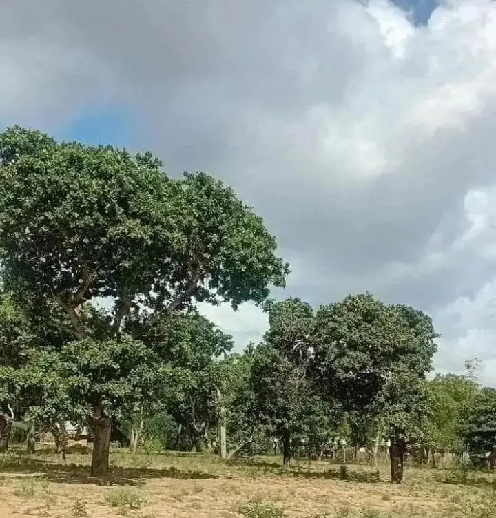 Land in Kilifi - Dera